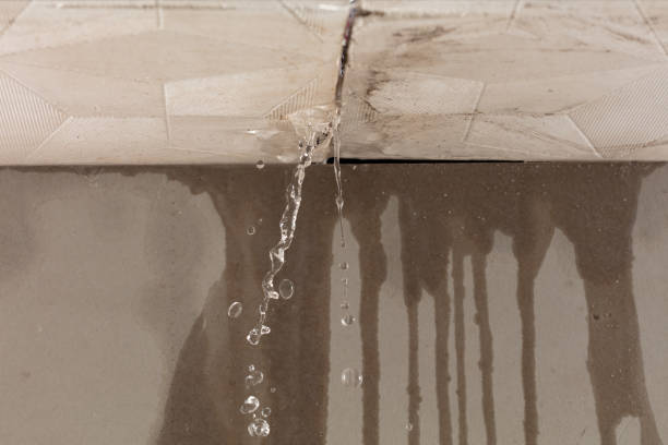 Professional Water Damage Repair technician working in Cortland, OH